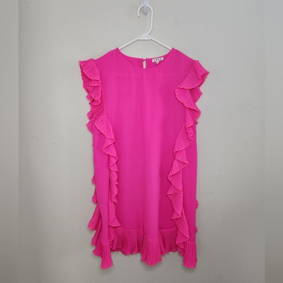 TCEC Pink Ruffle Dress - Picture 2 of 10